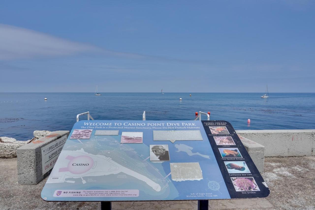 Catalina Island Duplex - Steps To Beach And Pier! Avalon Exterior foto